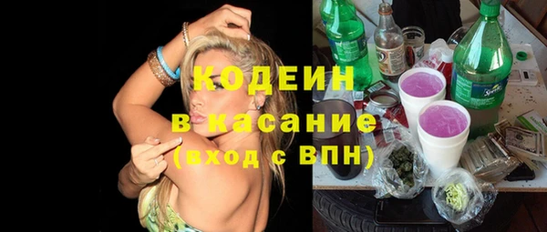 индика Киренск