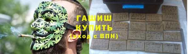 индика Киреевск