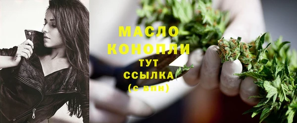 индика Киренск