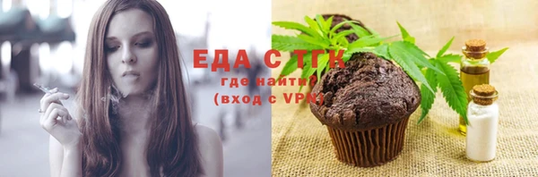 индика Киреевск