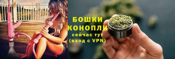 индика Киреевск