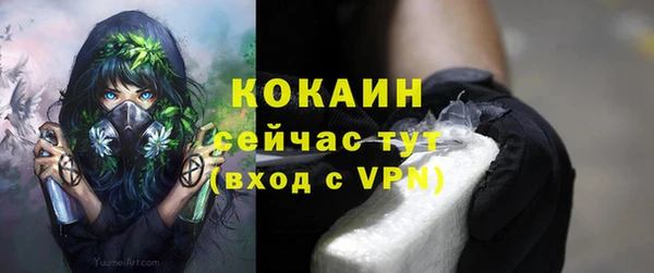 индика Киреевск