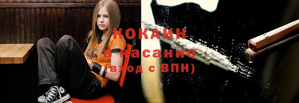 ГАЛЛЮЦИНОГЕННЫЕ ГРИБЫ Карталы