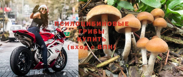 индика Киреевск