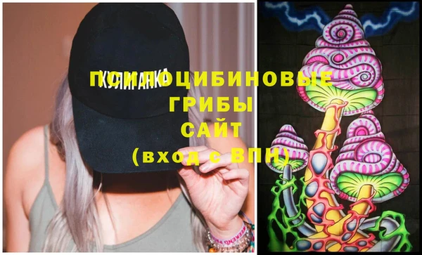 тгк Карпинск