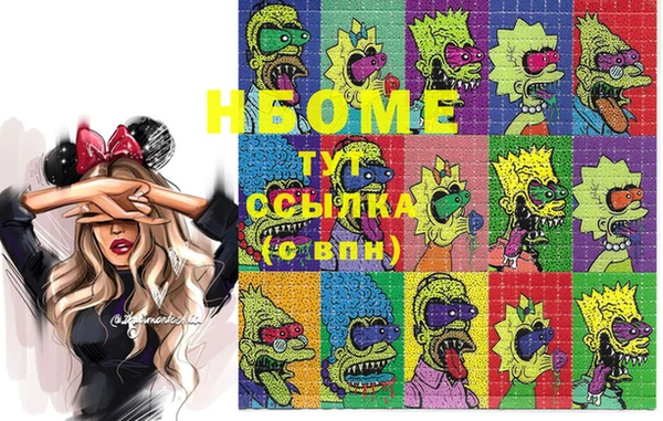 индика Киреевск