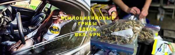 индика Киренск