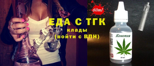 индика Киреевск