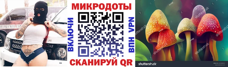 Галлюциногенные грибы мицелий  Купить где  Дятьково 